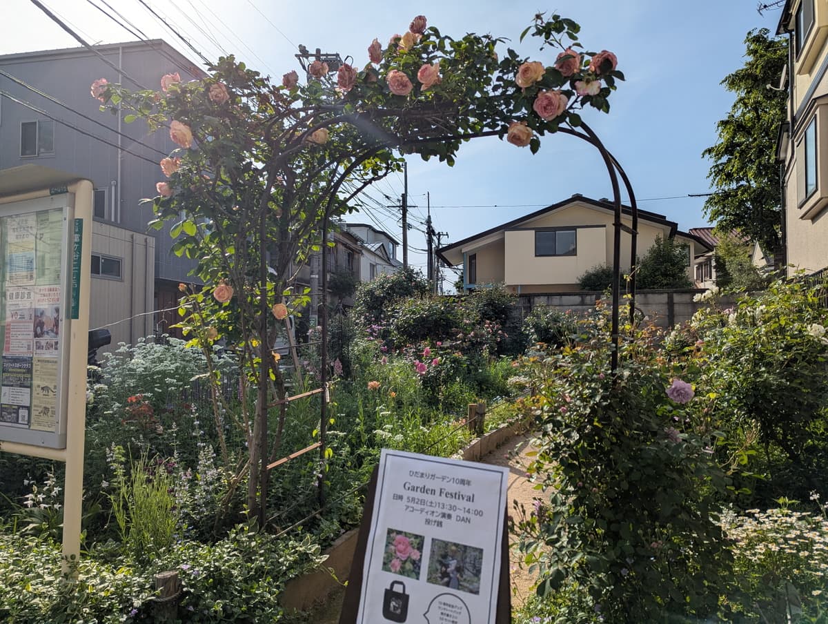 富ヶ谷のひだまりガーデン、10周年Garden Festival。バラの咲く一角で